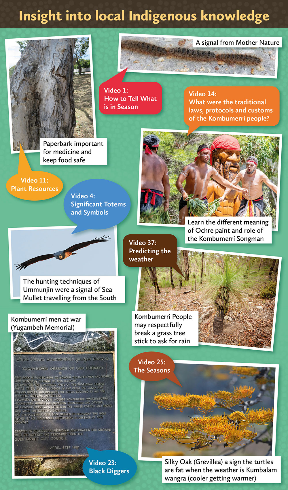 Insight into local Indigenous knowledge